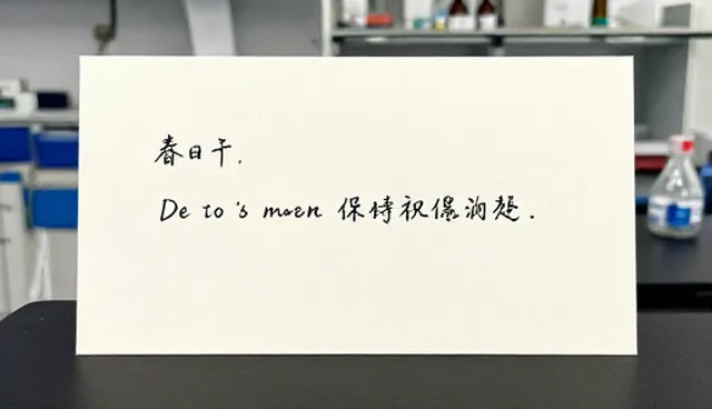 prompt教程的适用条件及选择依据说明